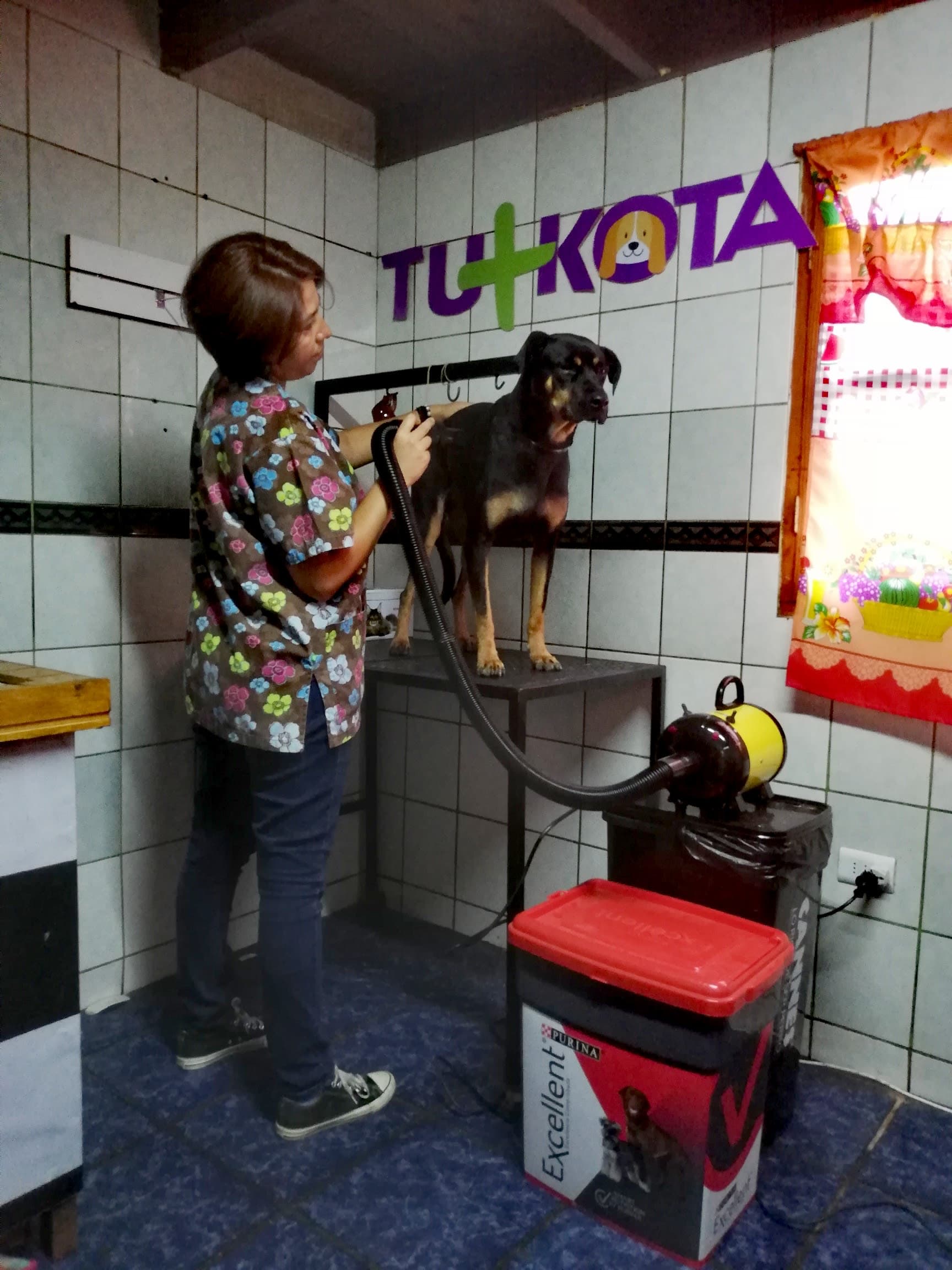 Pet shop Tu+Kota 2 en Alto Hospicio, Tarapacá, Chile - Peluquería para perros