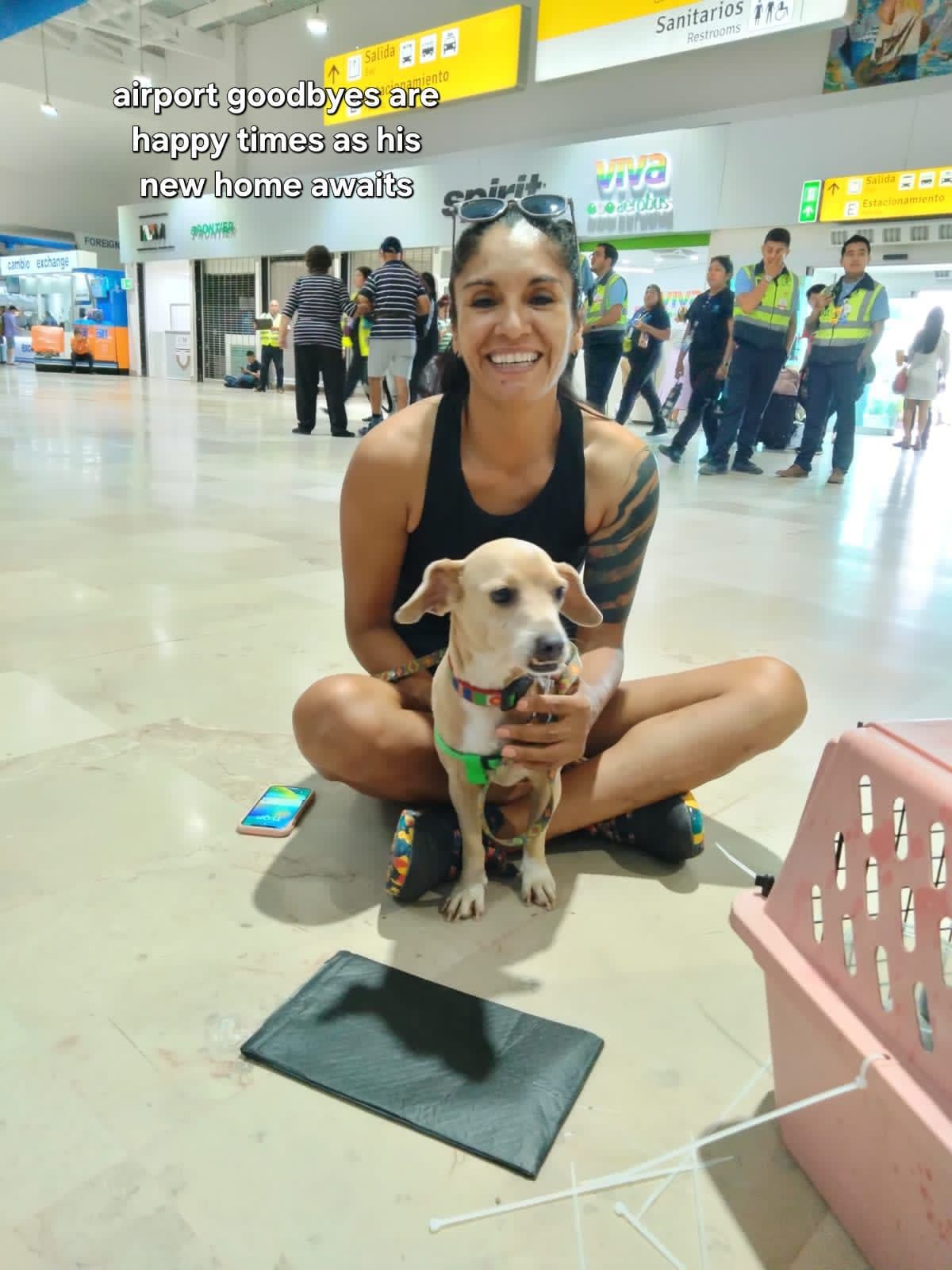 Doggy Rescue PV 2 en Puerto Vallarta, Jalisco, México - Peluquería para perros