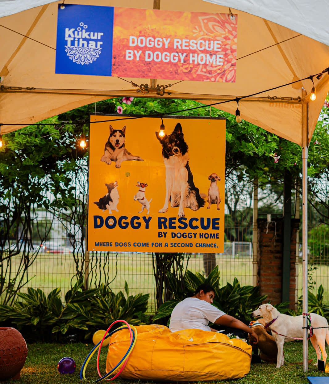 Doggy Rescue PV