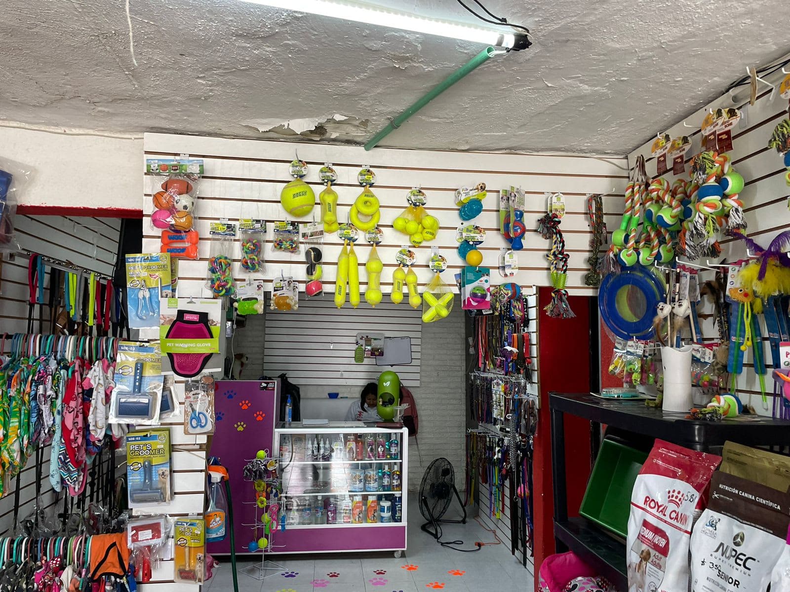 Estética Canina Emma 2 en Puerto Vallarta, Jalisco, México - Peluquería para perros