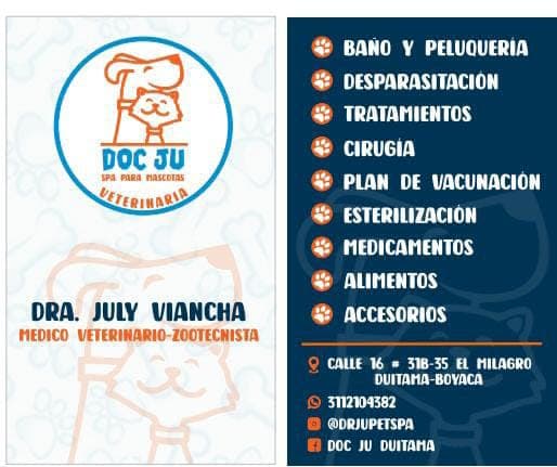 Doc Ju, Bichos y cia Pet Spa veterinaria, adiestramiento y peluquería para mascotas en Duitama, Boyacá, Colombia - Peluquería para gatos