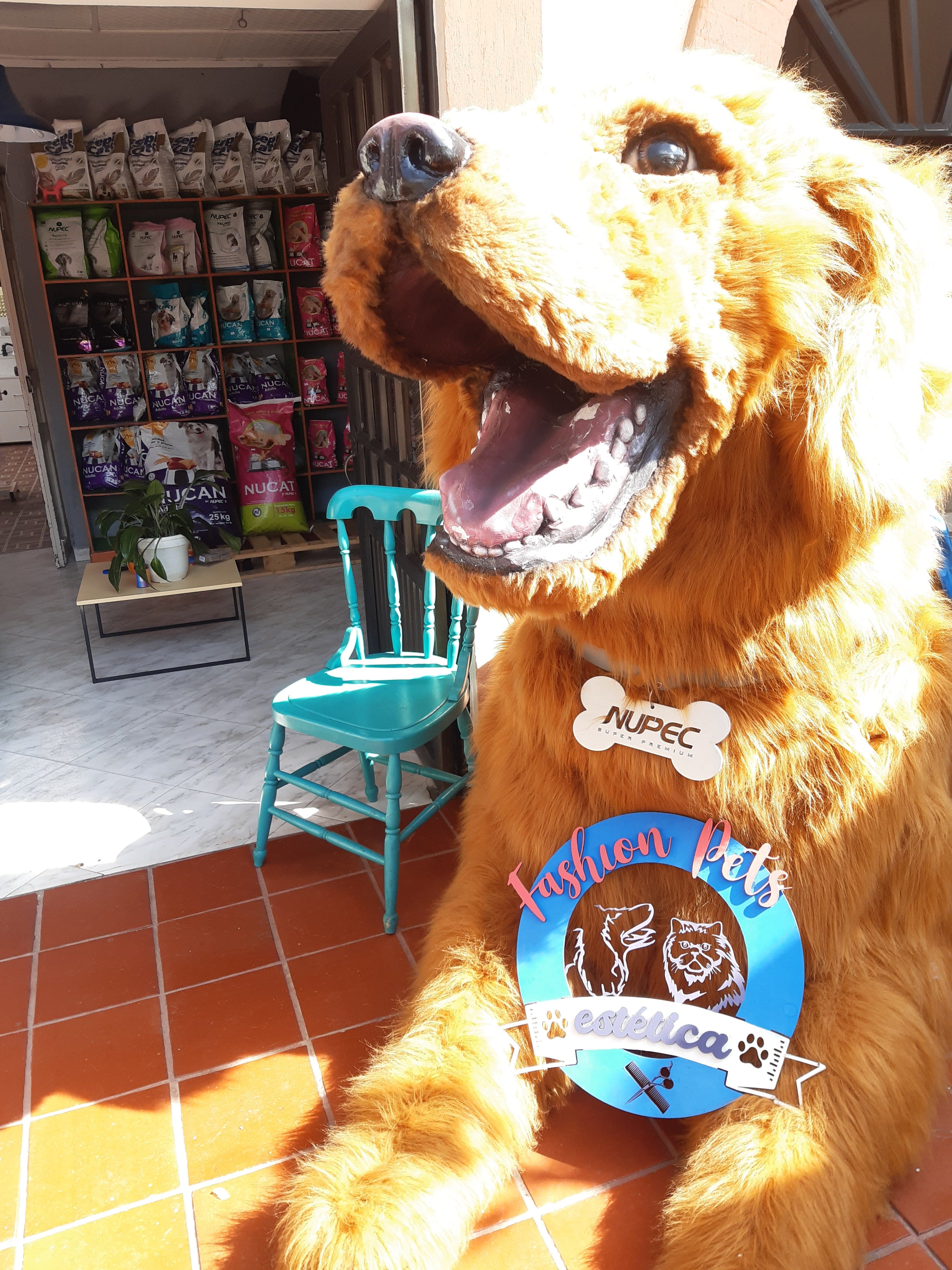 Fashion Pets Duitama, (Boyacá) en Duitama, Boyacá, Colombia - Peluquería para gatos