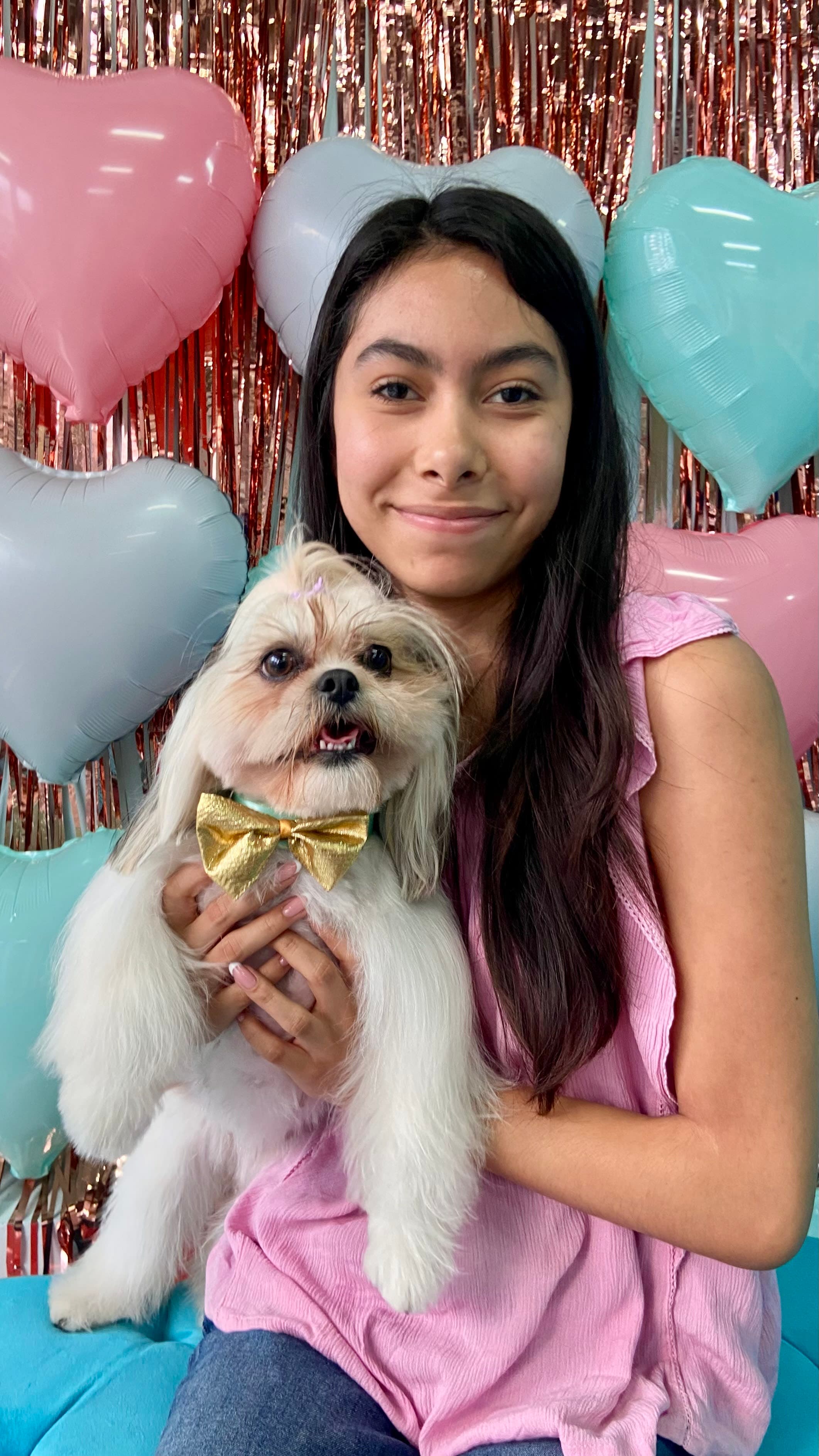 Jagger & Baileys Dog Grooming - Estética Canina Cumbres 2 en Xalapa, Veracruz, México - Peluquería para perros