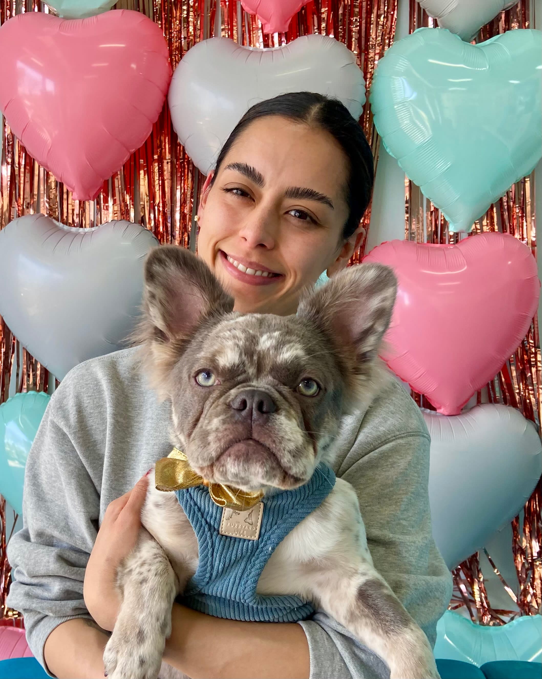 Jagger & Baileys Dog Grooming - Estética Canina Cumbres en Xalapa, México - Peluquería para perros