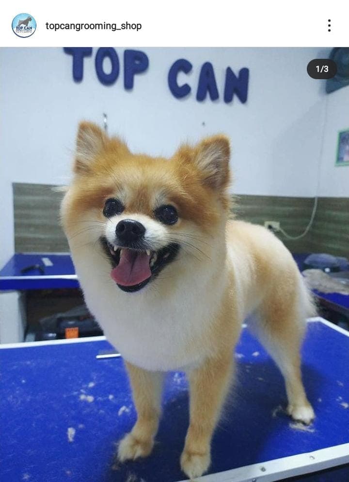 TOP CAN