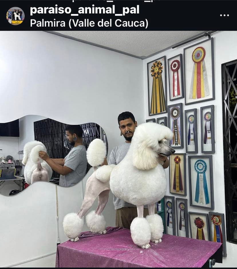 Paraíso animal