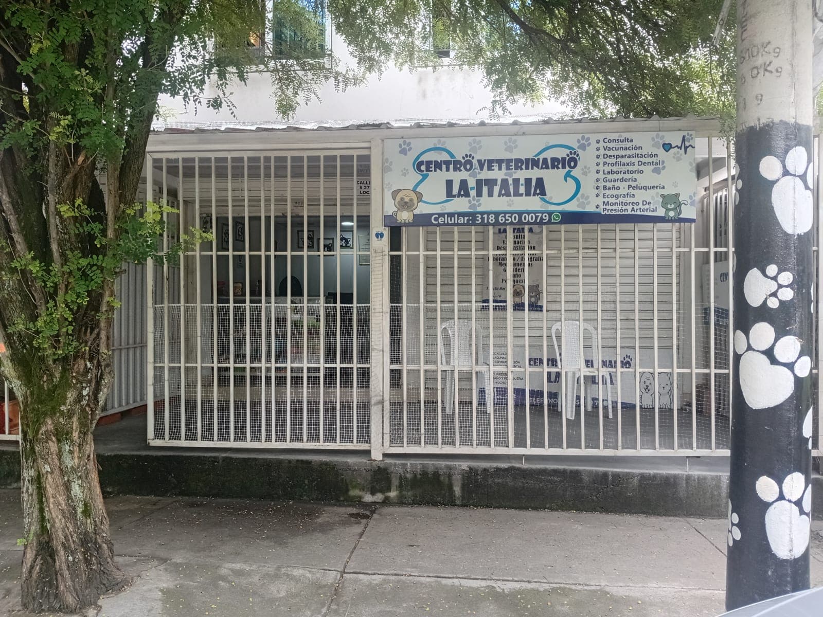 Centro Veterinario La Italia