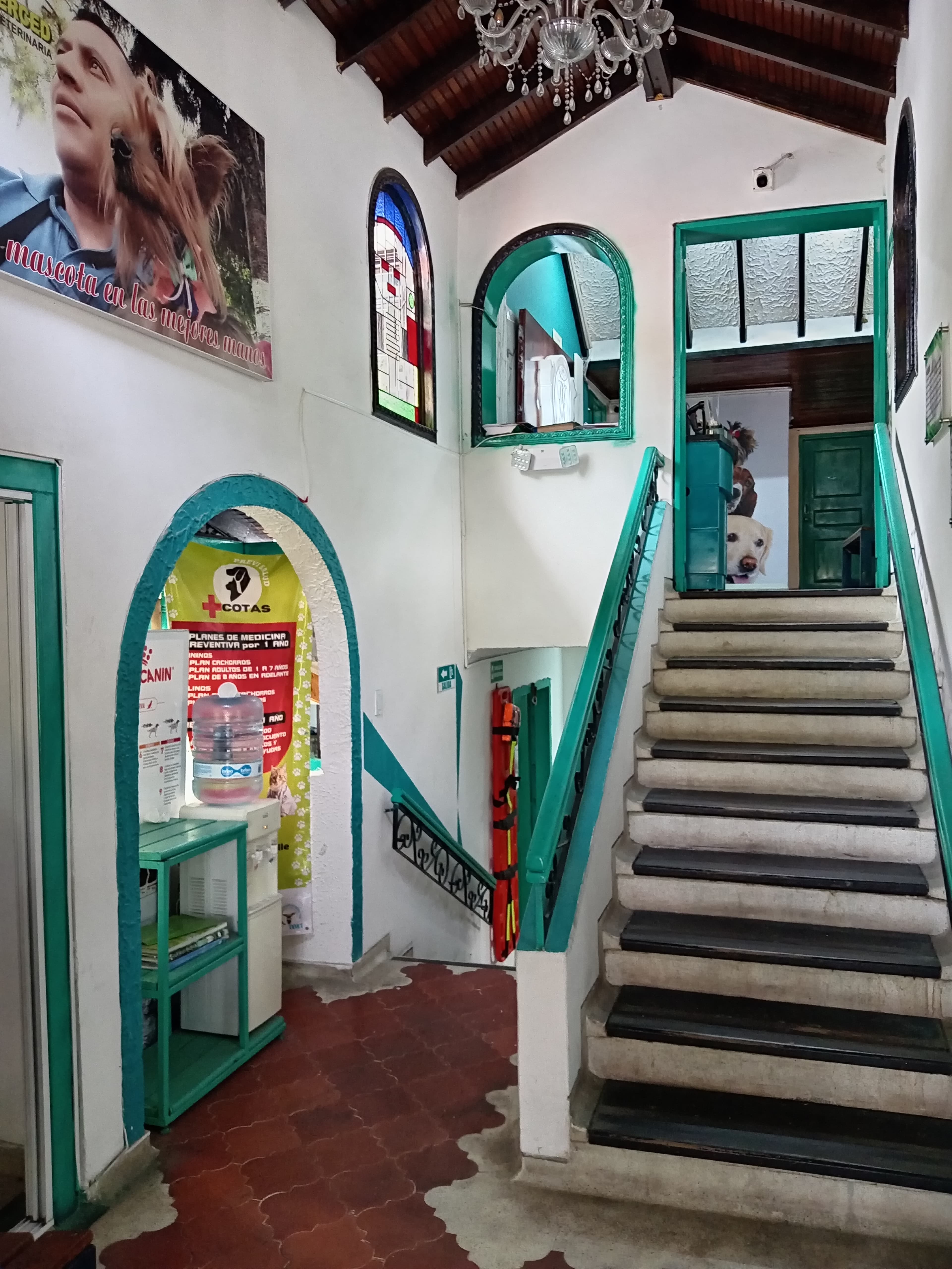 Clínica Veterinaria La Merced | Urgencias Veterinarias | Clinica Veterinaria 24 Horas | Veterinaria palmira 2 en Palmira, Valle del Cauca, Colombia - Peluquería para gatos