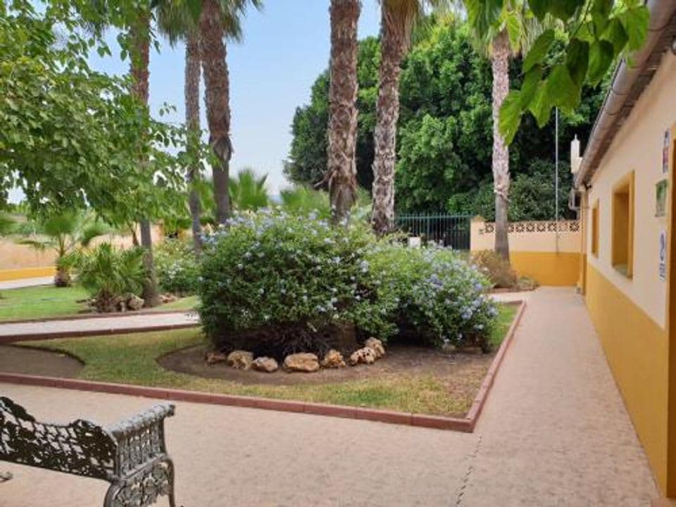 Adopte su Mascota - Centro de Protección Animal en Málaga, Andalucía