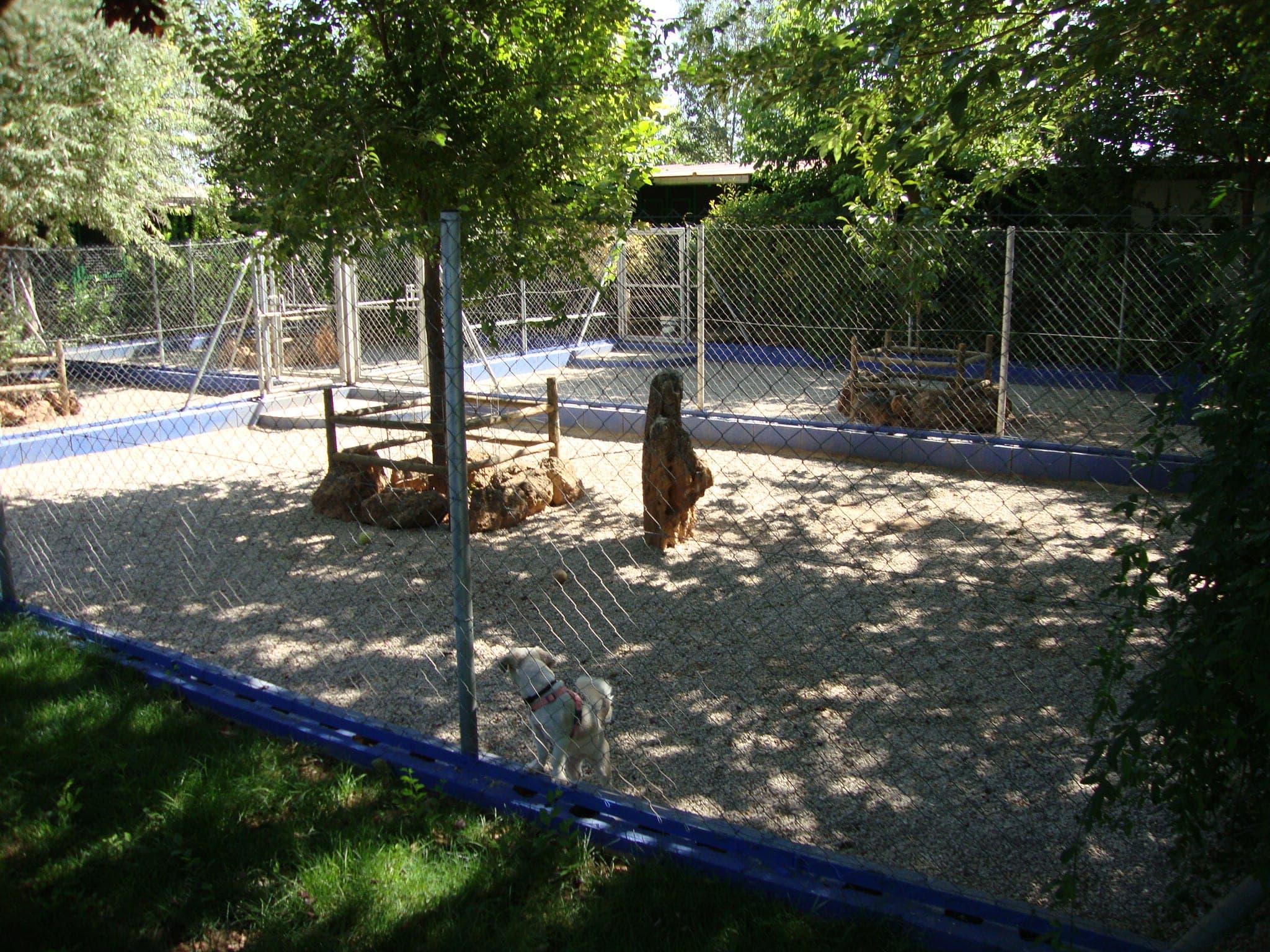Residencia Canina en Tomelloso LOS CANTUESOS 2 en Tomelloso, Castilla-La Mancha, España - Peluquería para gatos