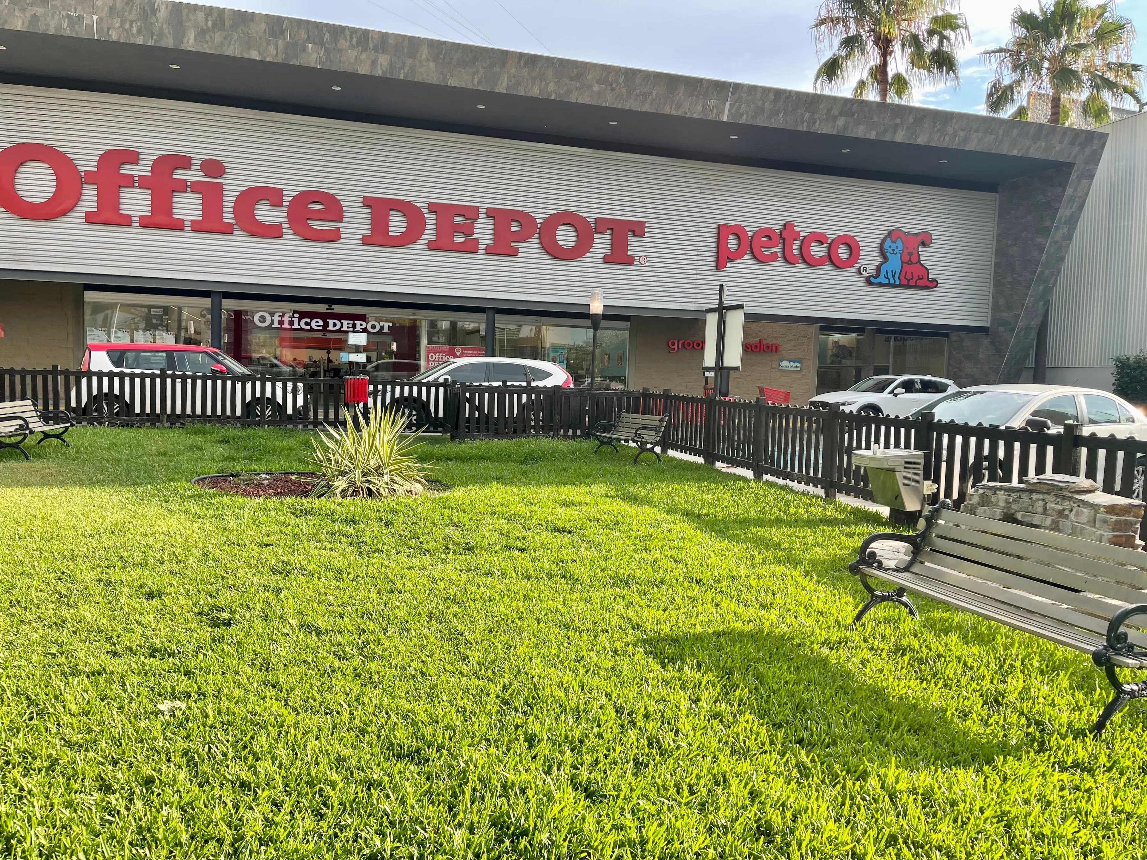Petco en Monterrey, Nuevo León, México - Gatos en adopción