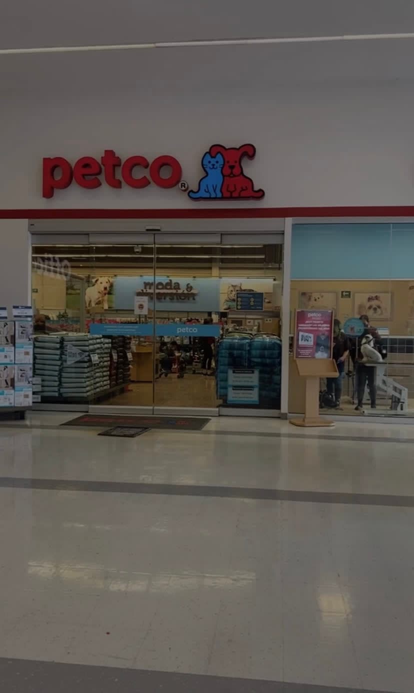 Petco 2 en Monterrey, Nuevo León, México - Gatos en adopción