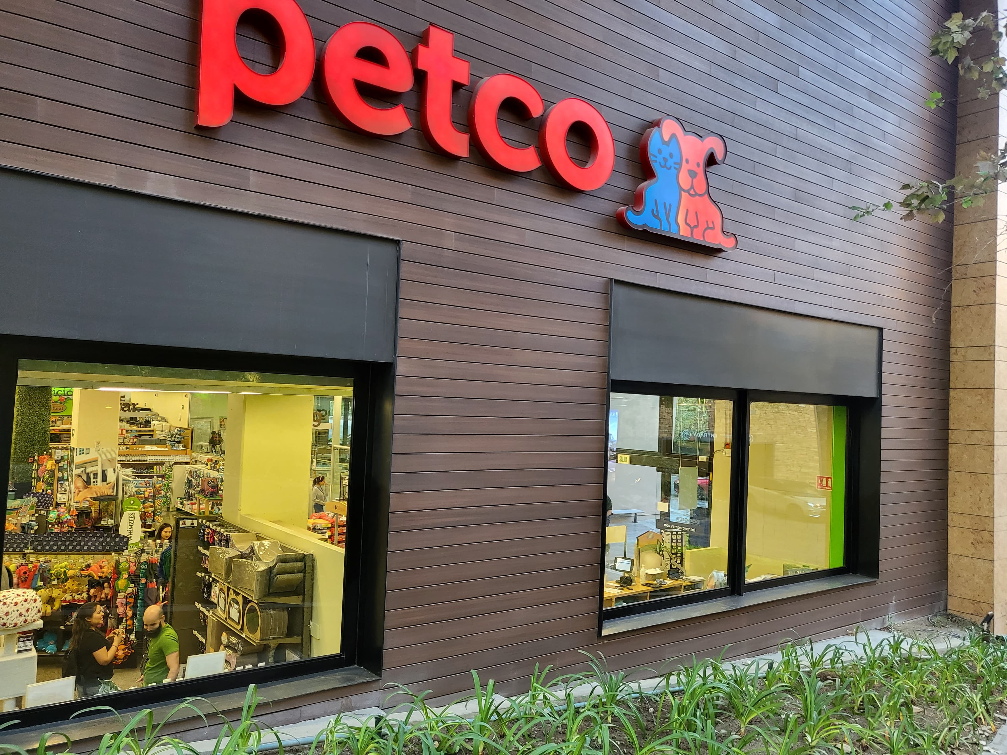 Petco Serena en Monterrey, Nuevo León, México - Gatos en adopción