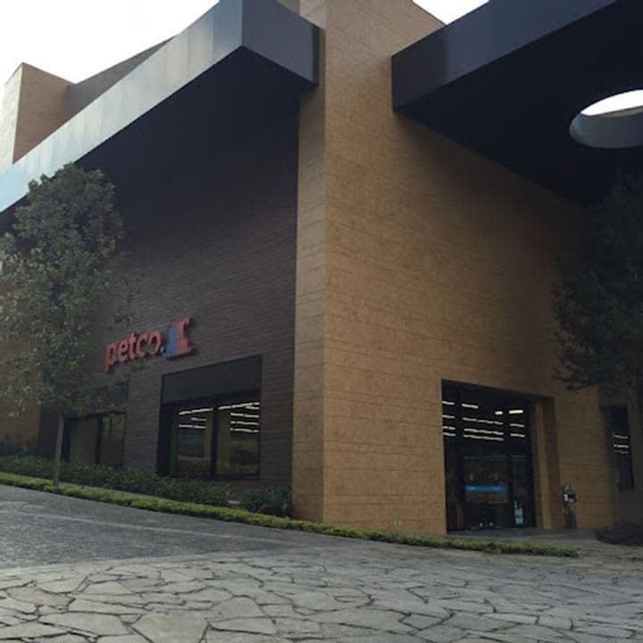 Petco Serena 2 en Monterrey, Nuevo León, México - Gatos en adopción