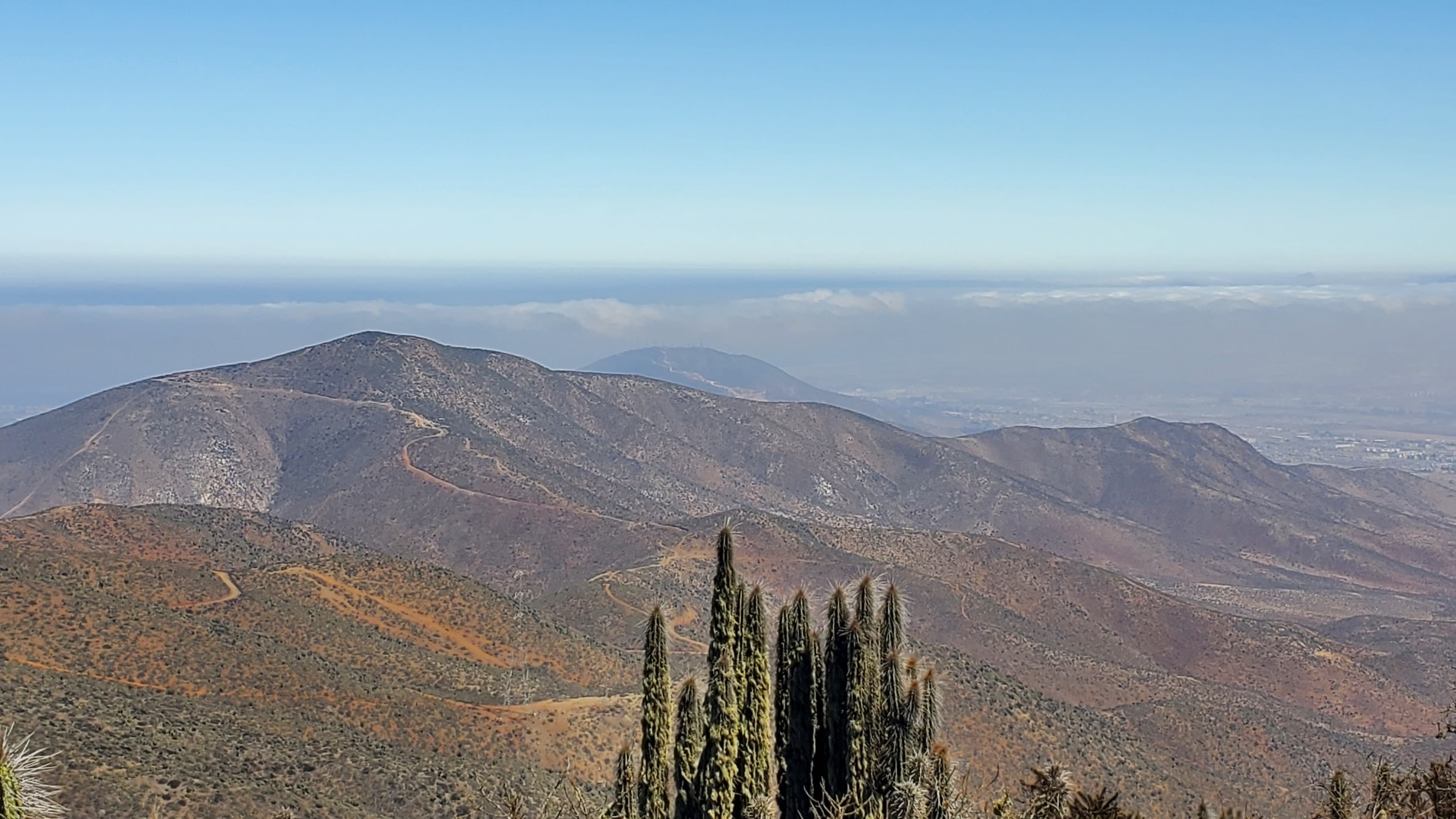 Cerro el Jote