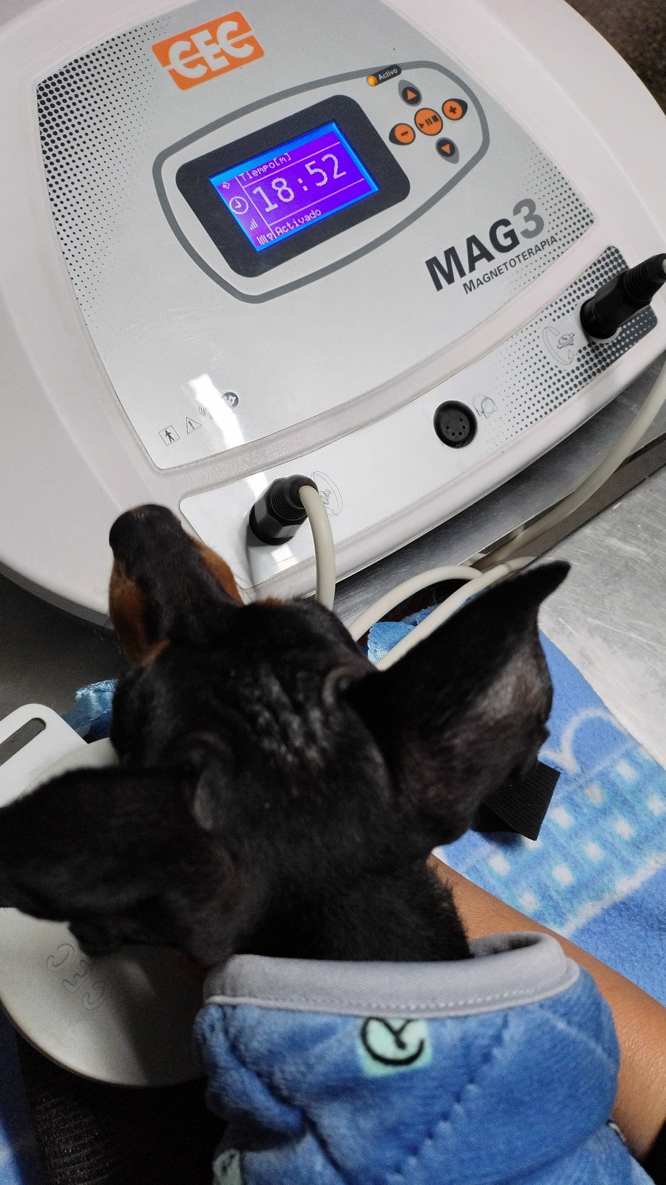 Veterinaria La Esperanza 2 en San Ramón de la Nueva Orán, Salta, Argentina - Paseadores de perros