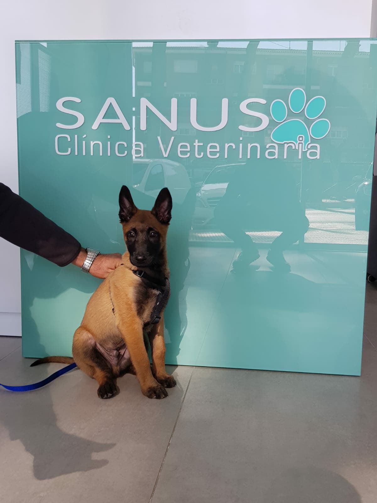 Clínica Veterinaria Sanus
