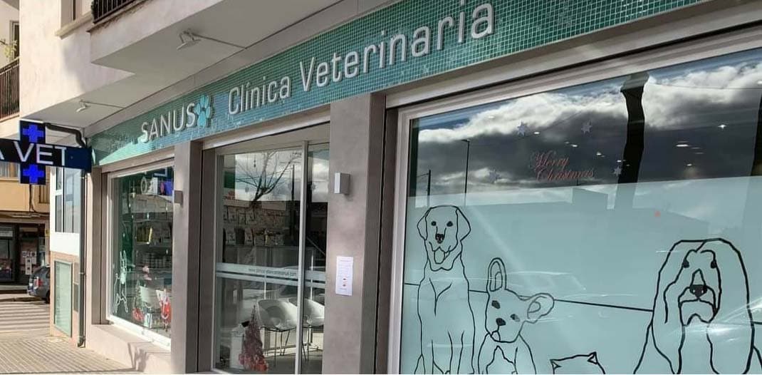 Clínica Veterinaria Sanus 2 en Hellín, Castilla-La Mancha, España - Veterinarios