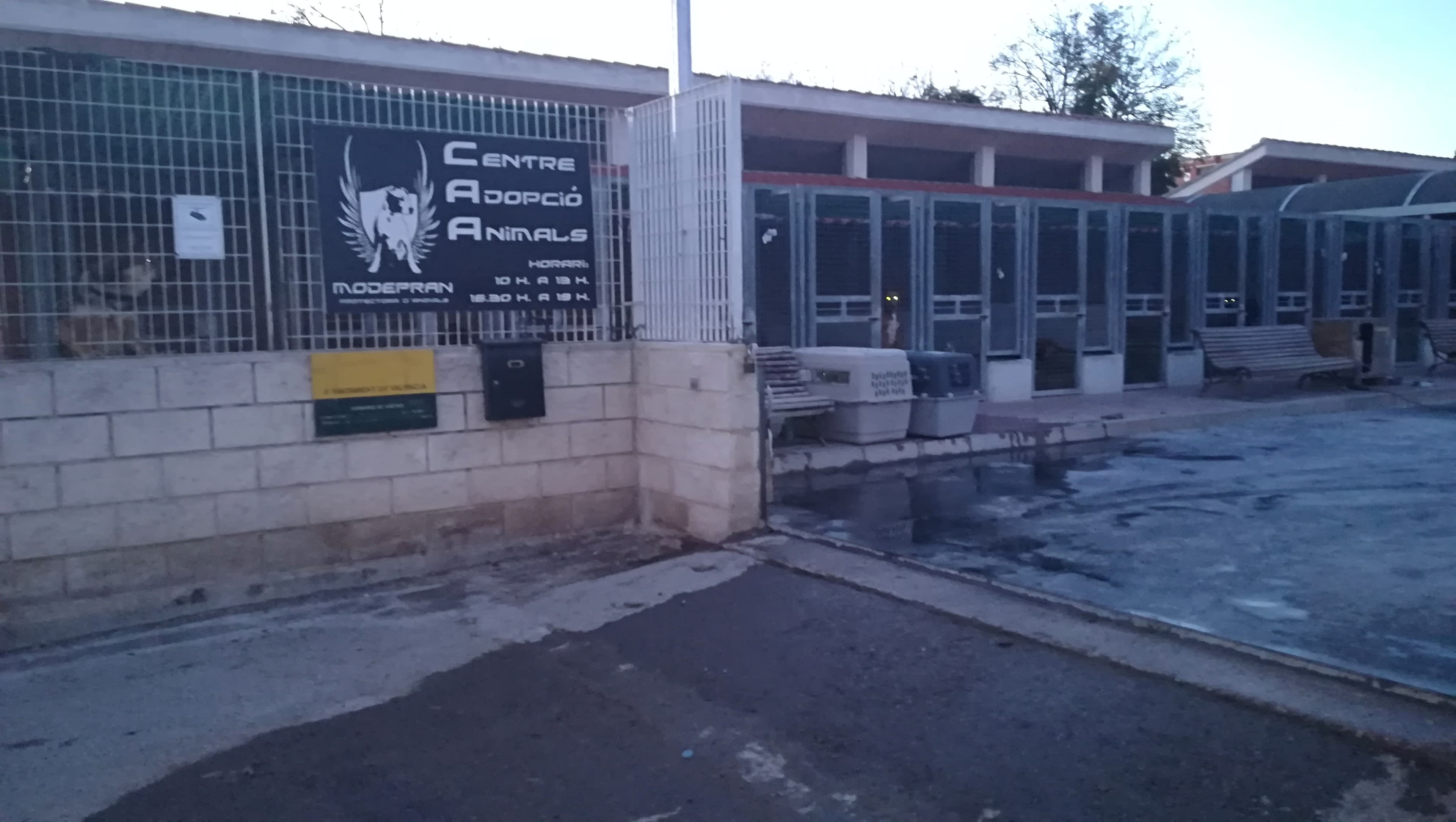 Modepran Valencia 2 en Orihuela, Valencia, España - Perros perdidos y encontrados