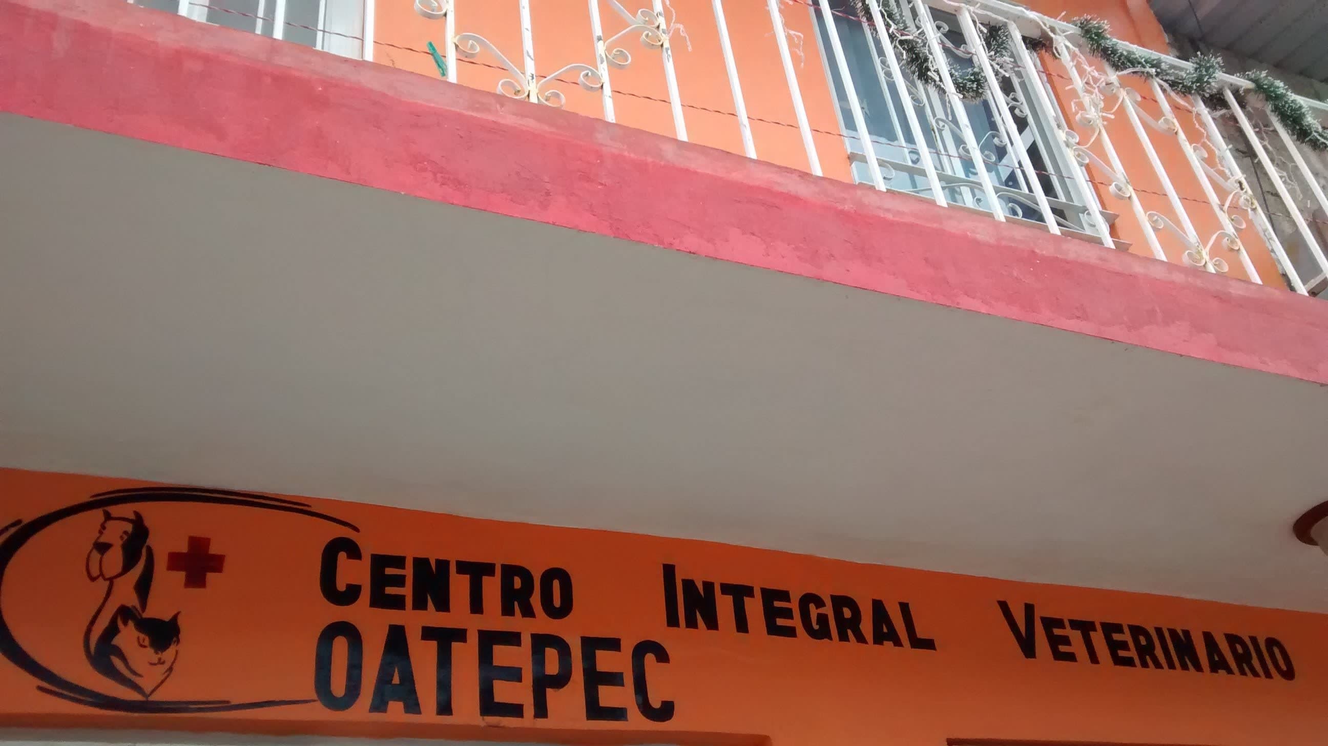 Centro Integral Veterinario Coatepec - Imagen 1