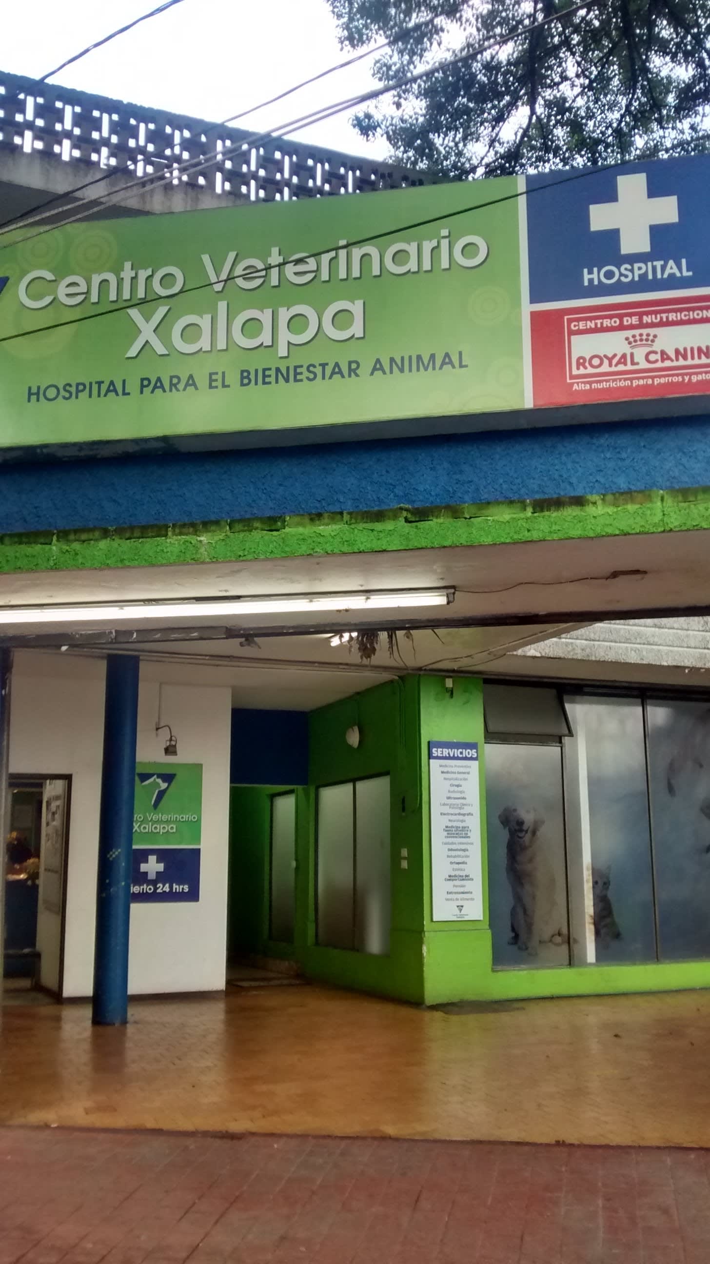 Veterinary Center Xalapa 2 en Xalapa, Veracruz, México - Veterinarios