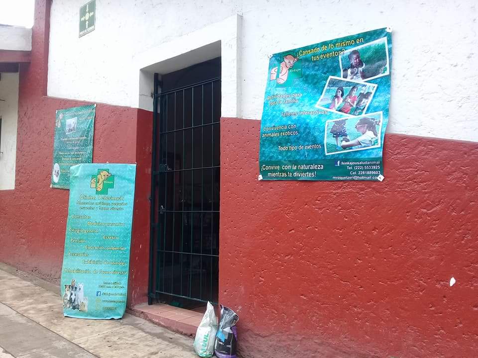 Kinkajou Salud Animal y Conservación de Vida Silvestre en Xalapa, Veracruz, México - Veterinarios