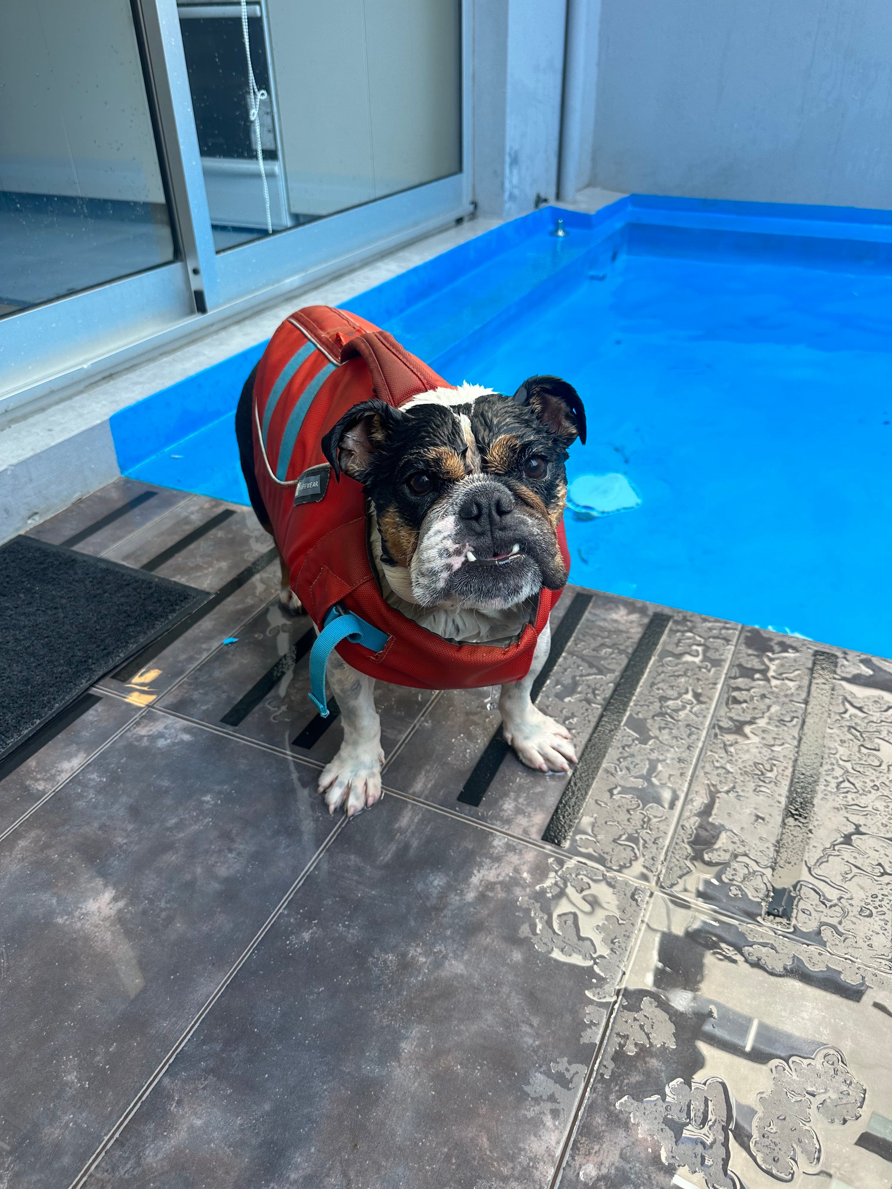 Clínica Veterinaria Vida en Bariloche, Río Negro, Argentina - Veterinarios