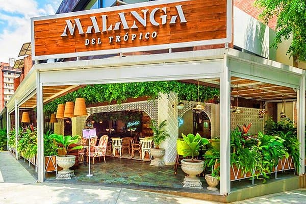 Malanga del Trópico