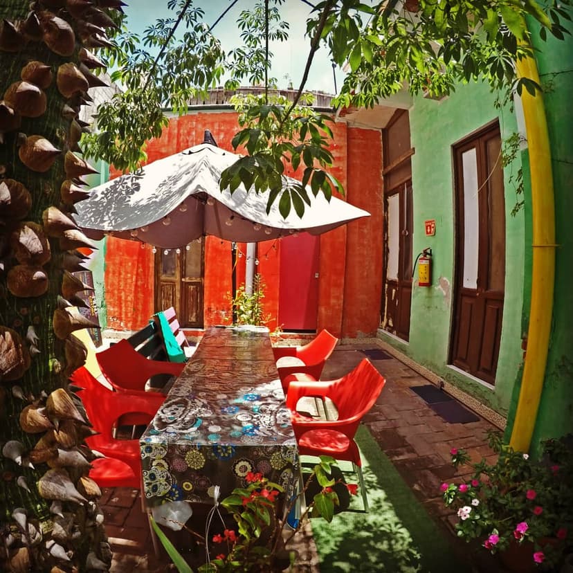 Iguana Hostel Oaxaca