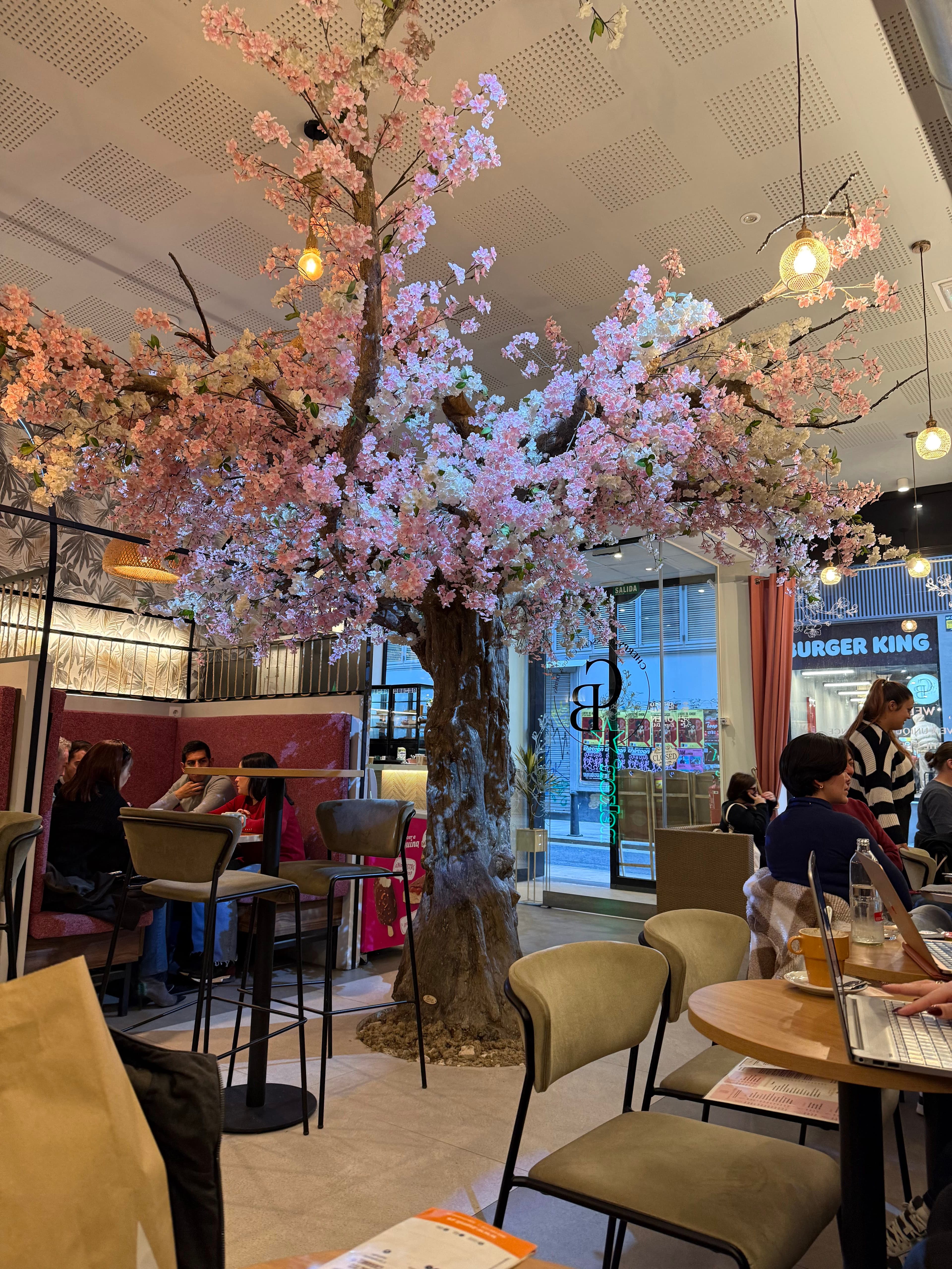 Cherry Blossom Valencia