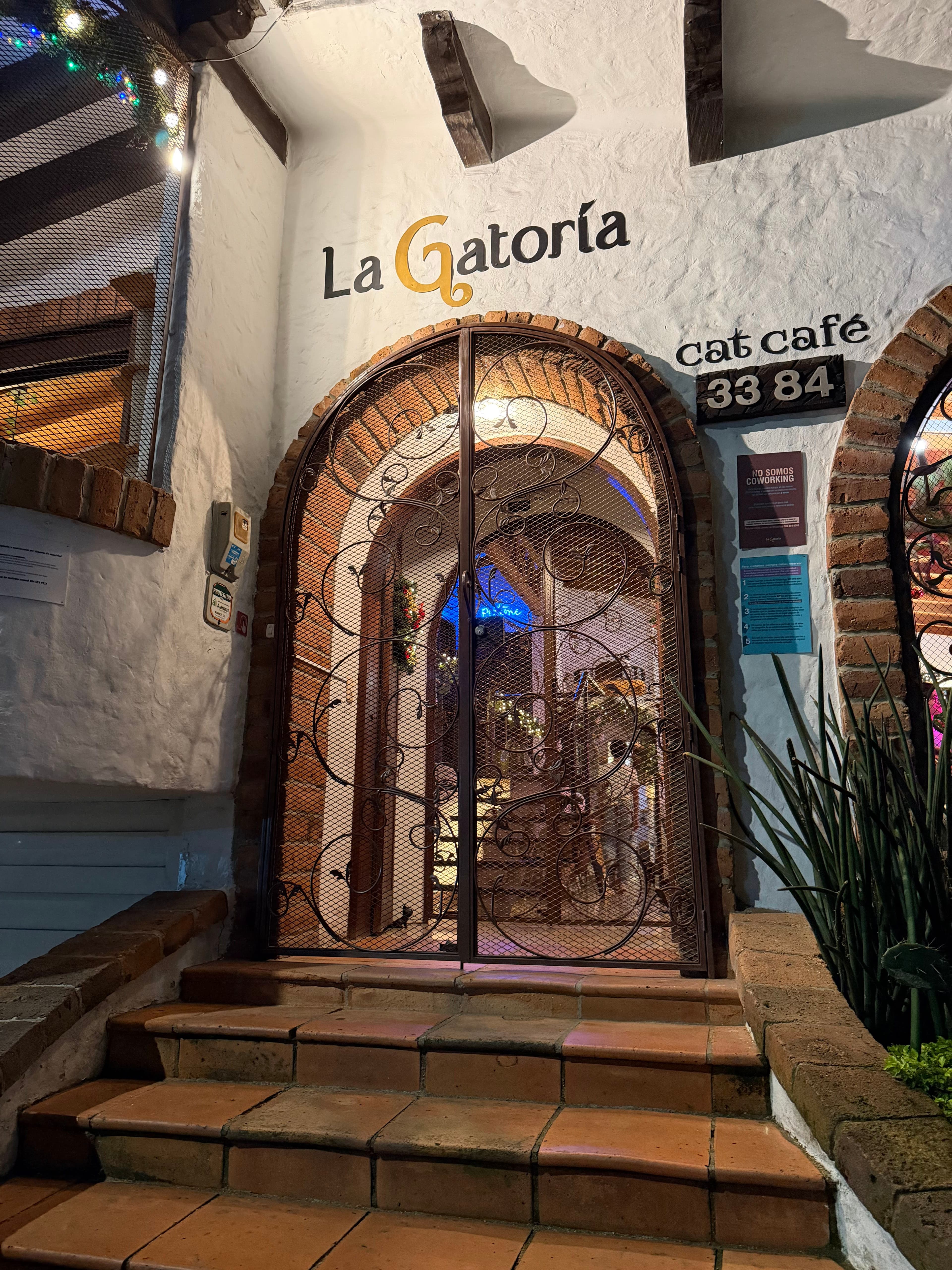La Gatoria Cat Cafe