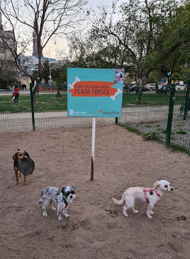 Centro recreación canina Plaza Toesca