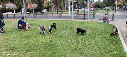 Samantha Pelecher Park