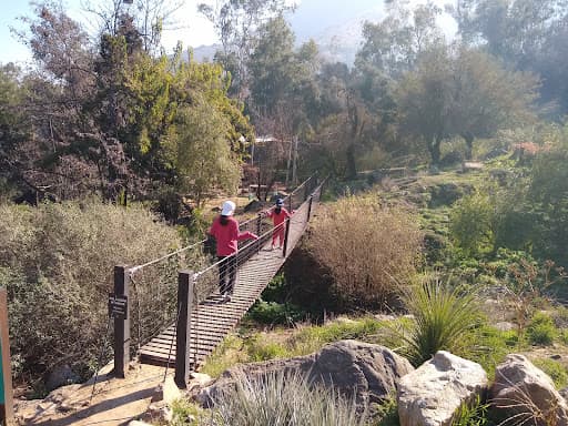 Parquemet Bosque Santiago