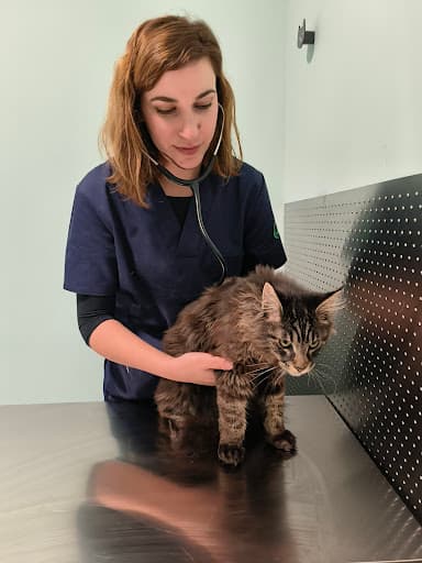 Clínica Veterinaria KatuVet