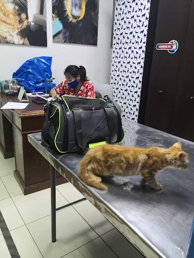 Clínica Veterinaria Santiago