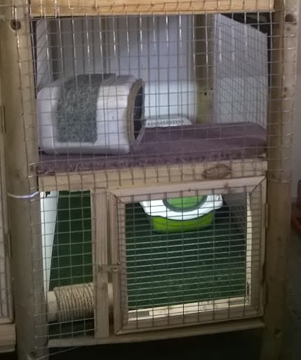 HOTEL FELINO