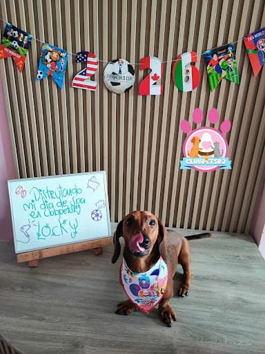CLUBPETSRJ