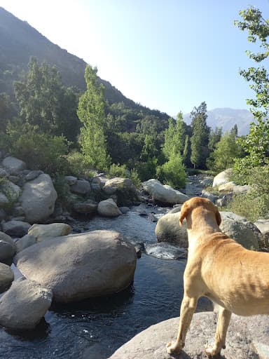 Bosque de los Brujos