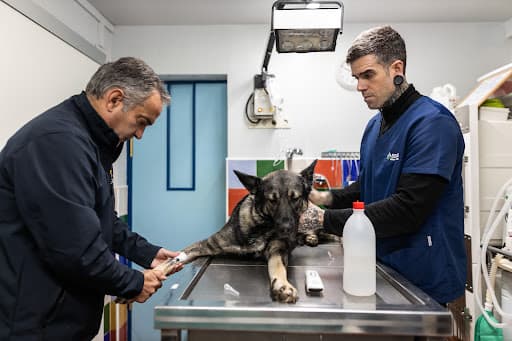 Clínica Veterinaria Ensanche