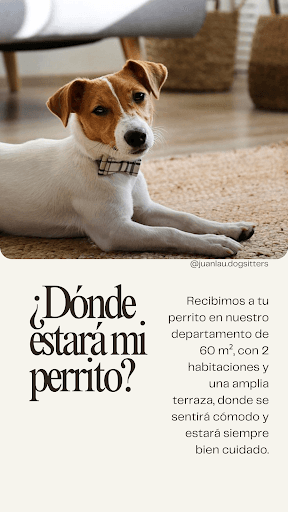Juan&Lau Dog Sitters │Cuidadores de perros