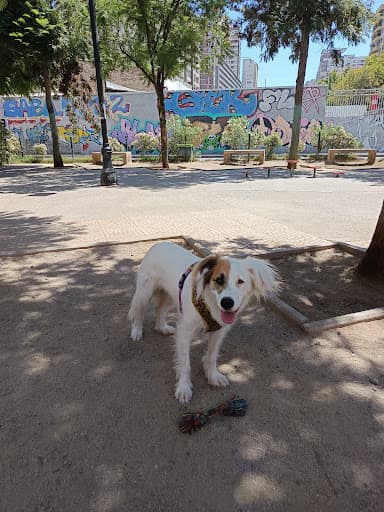 Zona recreativa canina Santa Isabel/Raulí