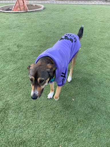 Zona Canina Parque Inés de Suárez
