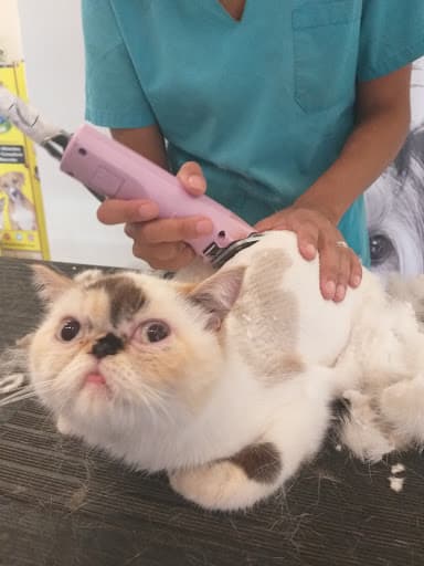 Veterinaria Alem Sucursal Nueva Córdoba