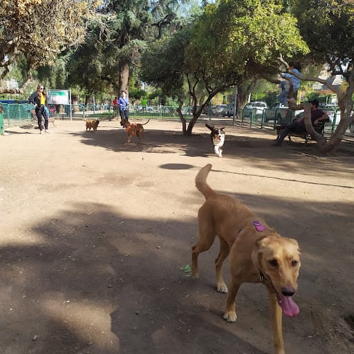 Parque Canino II