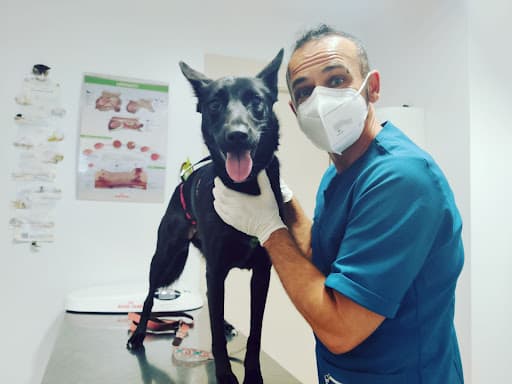 Clinica Veterinaria Oliveros (veterinario Almería)