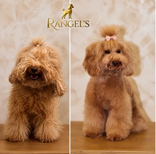 RANGEL'S - Peluquería Canina & Boutique