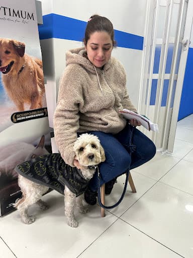 Veterinaria Patiperros