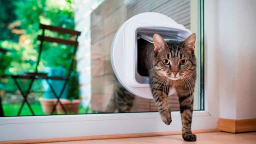 Puerta Mascota