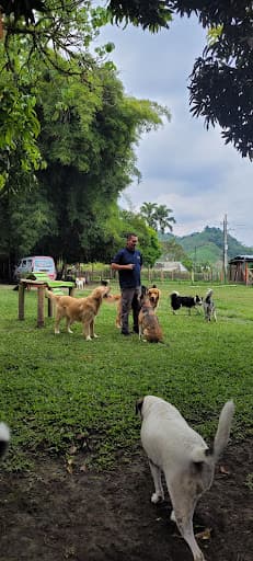 Guardería de Mascotas Paseo Canino Campestre